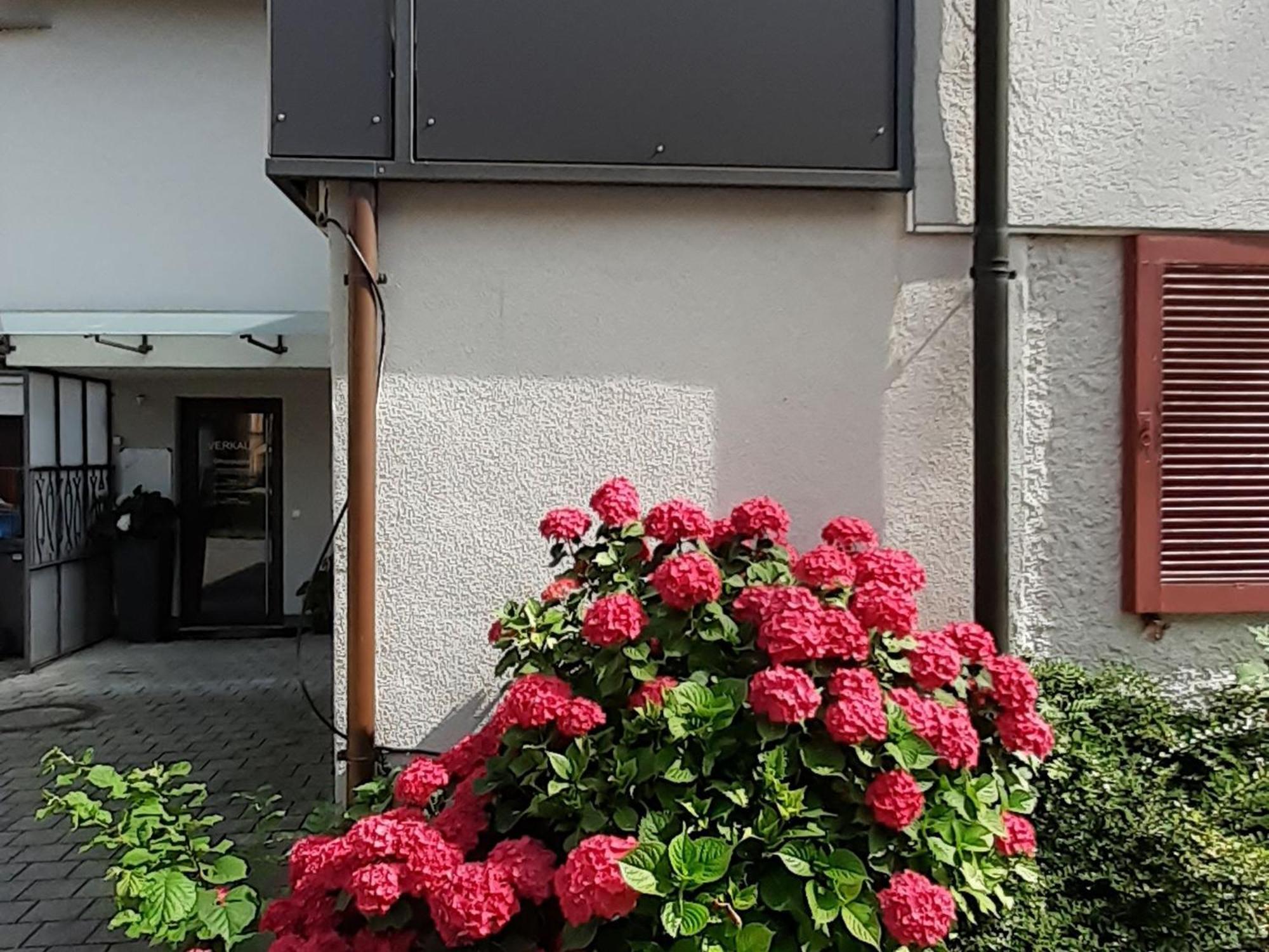 Ferienwohnung Im Fischerhaeusle Nonnenhorn Bagian luar foto